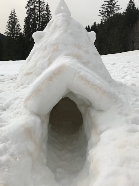 igloo